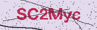 Captcha認証コード